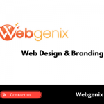 Web Design & Branding