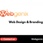 Web Design & Branding (3)