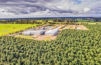 Chinese investment in Australia