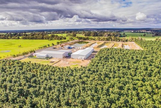 Chinese investment in Australia