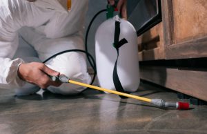 Pest Control Melbourne