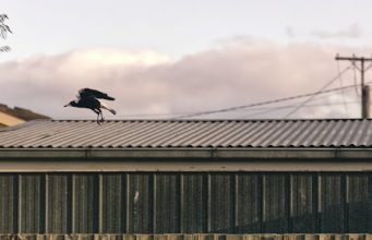 What are most commercial roofs made of? What are most commercial roofs made of?