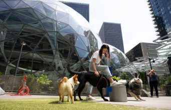 The Rise of Pet-Friendly Workplaces in Australia Pet-Friendly Workplaces in Australia